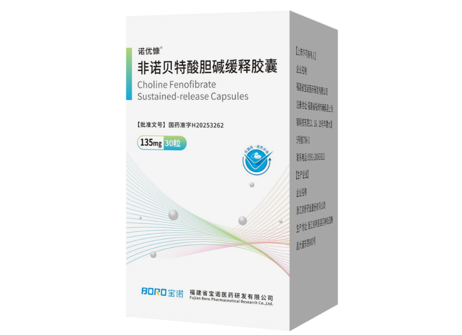 非诺贝特酸胆碱缓释胶囊